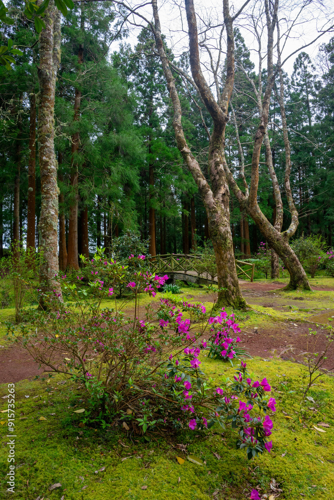 Charming small bridge over a creek in a picnic park on Terceira Island, Azores, Portugal. Perfect for nature and travel imagery. Charming small bridge over a creek in a picnic park on Terceira Island, Azores, Portugal. Perfect for nature and travel imagery.