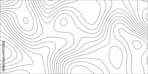 White background luxury topographic wavy pattern and geographic grid map design. The concept of a conditional geography scheme and the terrain path. Panorama view black color wave curve lines. photo