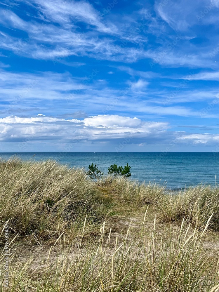 beach and grass beach and grass