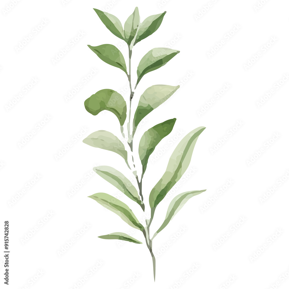 Fototapeta premium Watercolor illustration of a delicate green branch with leaves.