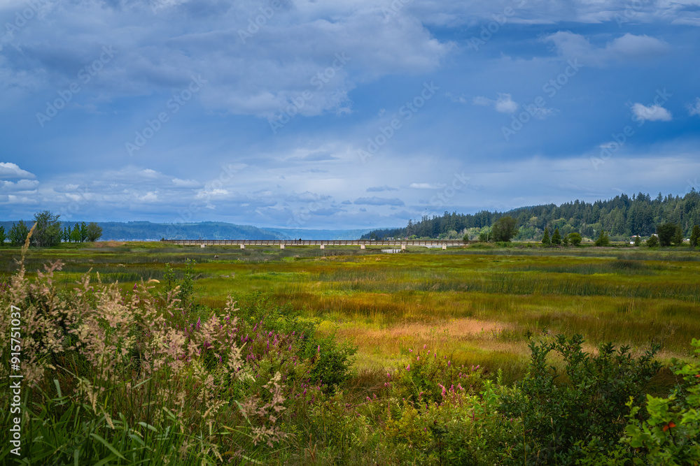 Fototapeta premium Theler wetland