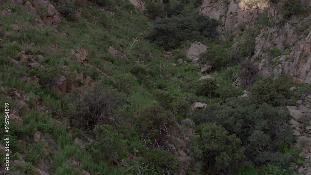 Ascending aerial of a rugged desert gully in a mountain side Ascending aerial of a rugged desert gully in a mountain side