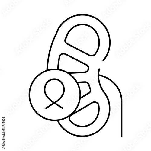 kidneys cancer line icon vector. kidneys cancer sign. isolated contour symbol black illustration