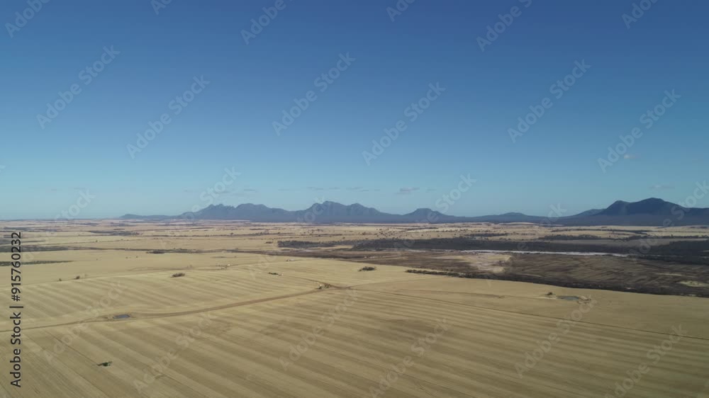Australian rural scenes Wheatbelt. 4K farming scenes wheat Australian rural scenes Wheatbelt. 4K farming scenes wheat