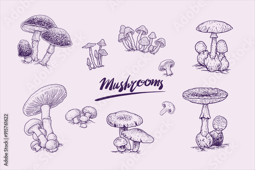 Mushrooms-10-element.eps. 10 elegant vector mushroom sketch elements suitable for anything, festival cards and so on