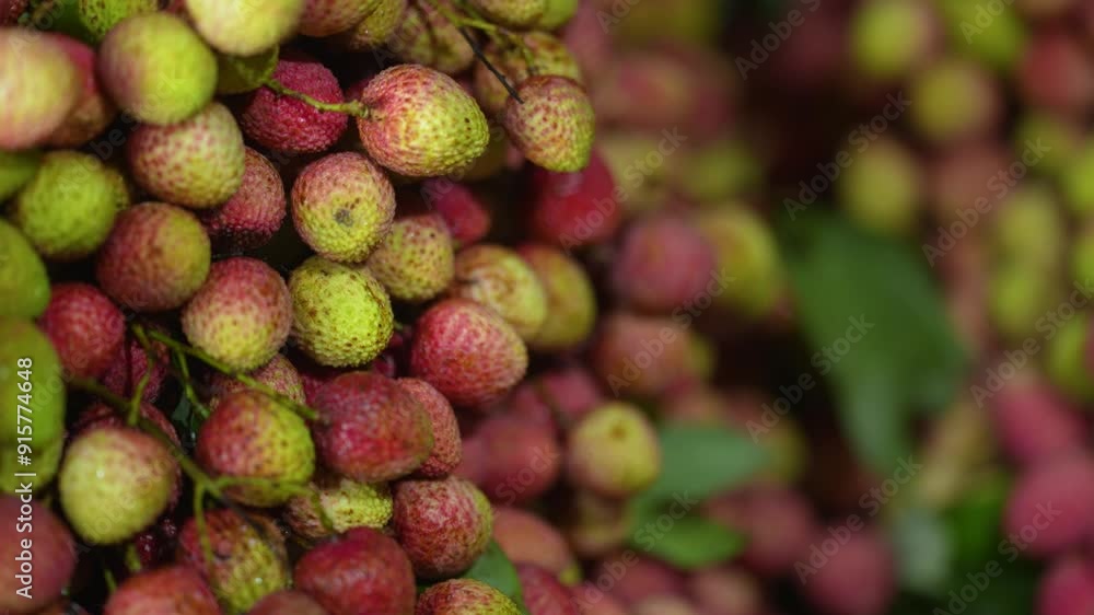 Freshly picked ripe lychees, ready for sale at the market. Vibrant colors and juicy sweetness of this tropical delight, straight from the orchard to your table. Lychee, Litchi, Lichee, fruit Freshly picked ripe lychees, ready for sale at the market. Vibrant colors and juicy sweetness of this tropical delight, straight from the orchard to your table. Lychee, Litchi, Lichee, fruit
