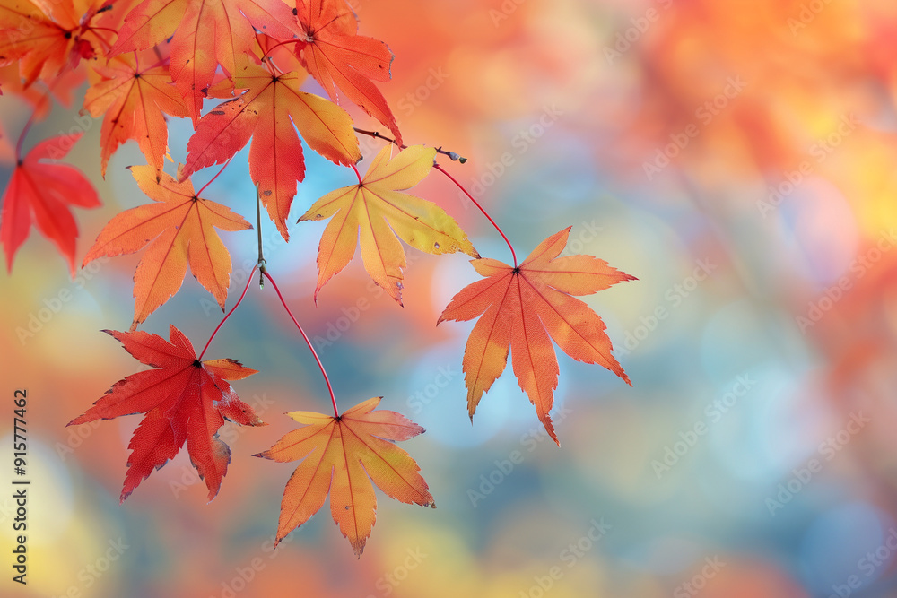 Close-up vibrant autumn maple leaves, displaying a rich blend of red, orange, and yellow hues, hanging delicately from a branch with a soft, blurred background Close-up vibrant autumn maple leaves, displaying a rich blend of red, orange, and yellow hues, hanging delicately from a branch with a soft, blurred background