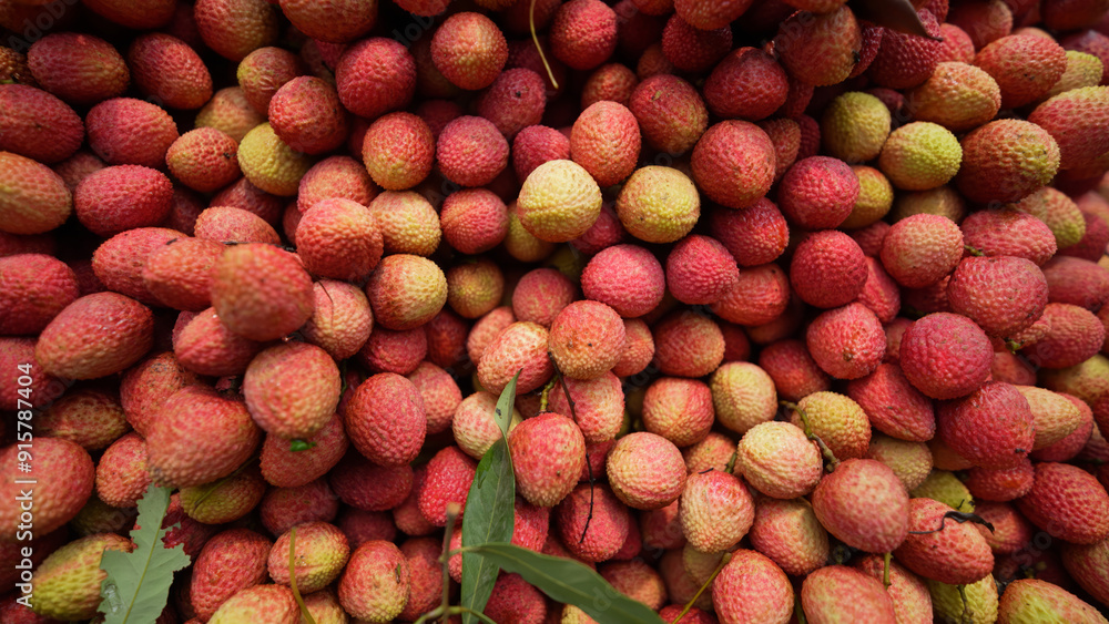 Freshly picked ripe lychees, ready for sale at the market. Vibrant colors and juicy sweetness of this tropical delight, straight from the orchard to your table. Lychee, Litchi, Lichee, fruit Freshly picked ripe lychees, ready for sale at the market. Vibrant colors and juicy sweetness of this tropical delight, straight from the orchard to your table. Lychee, Litchi, Lichee, fruit