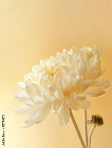 A single beautiful and delicate white flower isolated on pastel background. Vertical. Generative AI.