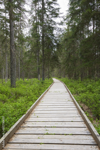 Wooden path through the forest.