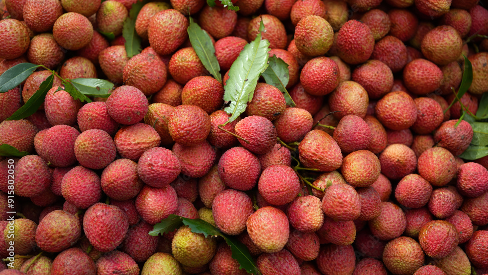 Freshly picked ripe lychees, ready for sale at the market. Vibrant colors and juicy sweetness of this tropical delight, straight from the orchard to your table. Lychee, Litchi, Lichee, fruit Freshly picked ripe lychees, ready for sale at the market. Vibrant colors and juicy sweetness of this tropical delight, straight from the orchard to your table. Lychee, Litchi, Lichee, fruit