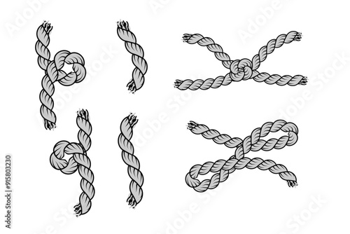 Vector Illustration of Twisted Rope Designs. Various Knots and Braided Rope Sections 