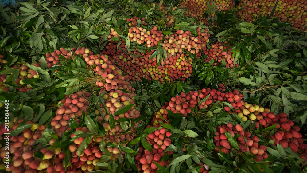 Freshly picked ripe lychees, ready for sale at the market. Vibrant colors and juicy sweetness of this tropical delight, straight from the orchard to your table. Lychee, Litchi, Lichee, fruit Freshly picked ripe lychees, ready for sale at the market. Vibrant colors and juicy sweetness of this tropical delight, straight from the orchard to your table. Lychee, Litchi, Lichee, fruit
