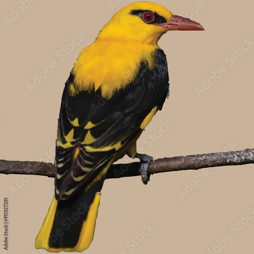 colorful bird sitting on a branch of a tree