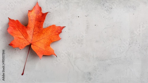 Vibrant Autumn Leaf On Light Background