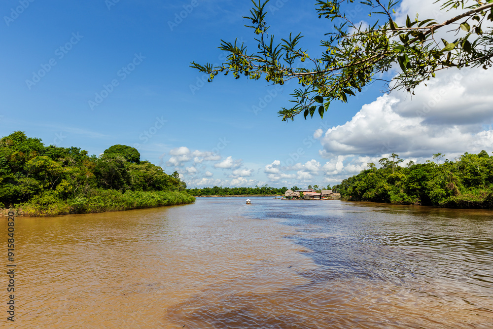 Navigating the Amazon River. In the Amazon jungle, near Iquitos, Peru. South America. Navigating the Amazon River. In the Amazon jungle, near Iquitos, Peru. South America.