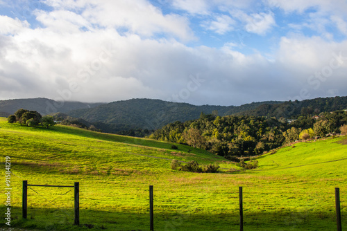 Beautiful view of mountains with green meadows in spring in California's Silicon Valley. Taken while hiking on a trail near Stanford. photo