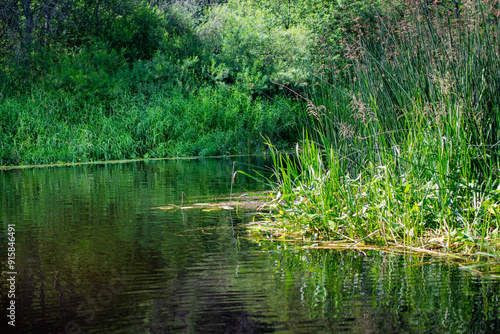 Beautiful landscape, summer, nature, river