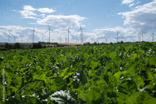 Windräder auf einem Feld