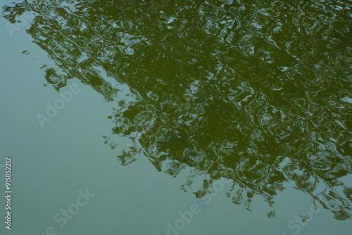 Blurred shadows of green trees on the surface of the water