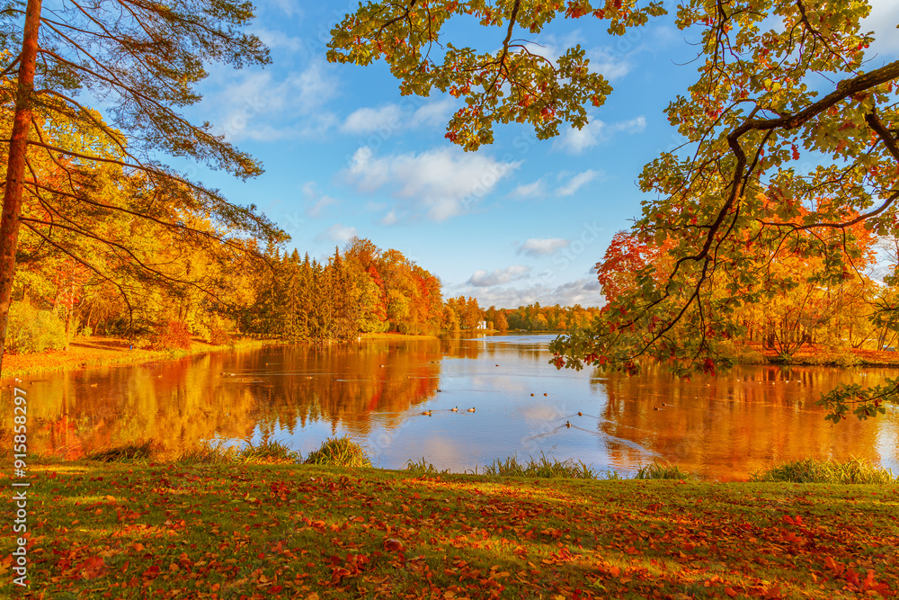 Colorful autumn park on a sunny day. Beautiful autumn landscape with yellow and red trees.