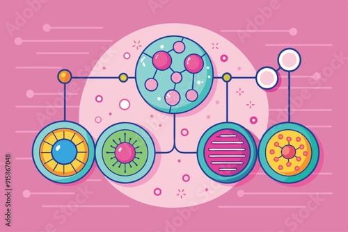 A colorful vector illustration depicts the various stages of cell division, showcasing distinct cellular structures and their interactions in a simplified manner