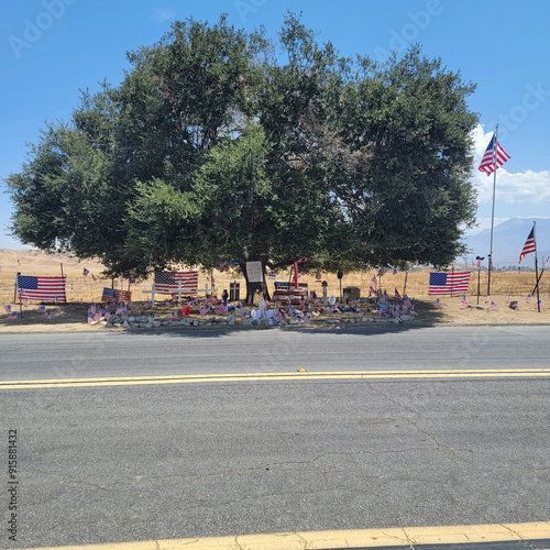 Veteran's Memorial Oak Tree photo