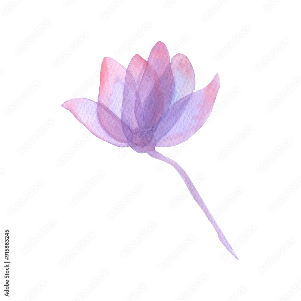 Fototapeta premium fantasy flower with transparent petals composition on white background watercolor illustration floral background for invitations. for clothing, wallpaper, wrapping paper, home decor