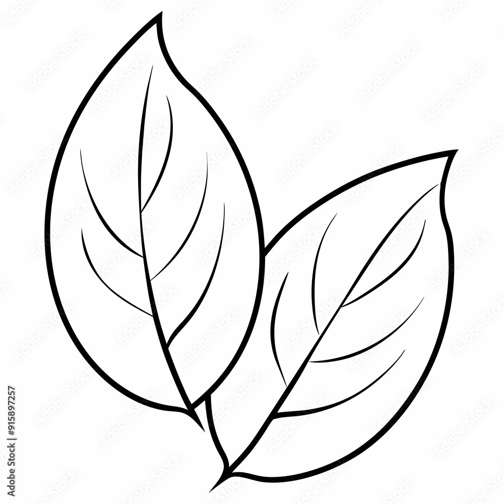 Best leave line art, Silhouette, Vector, illustration, Best leave line art, Silhouette, Vector, illustration,