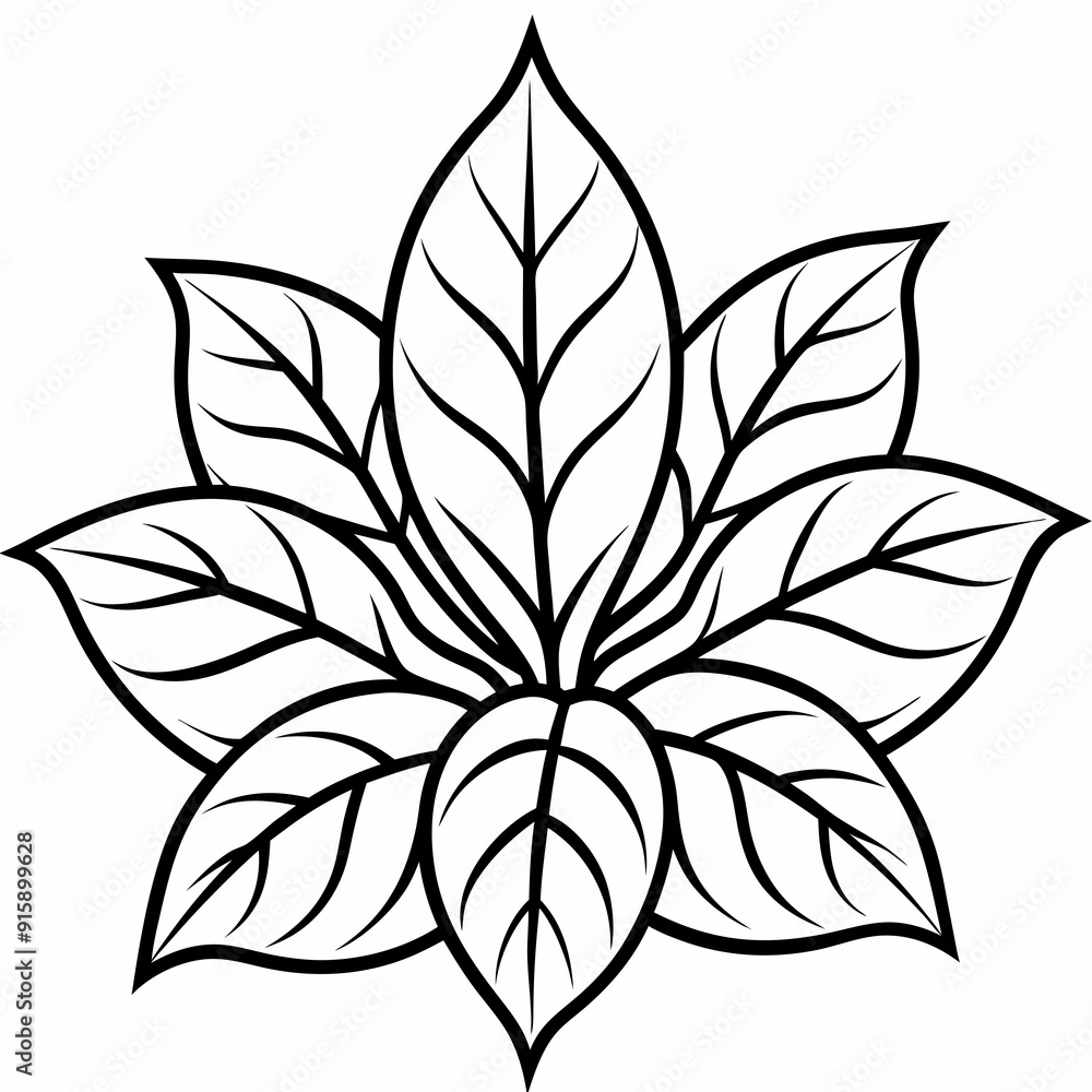 foliage line art Silhouette Vector illustration foliage line art Silhouette Vector illustration