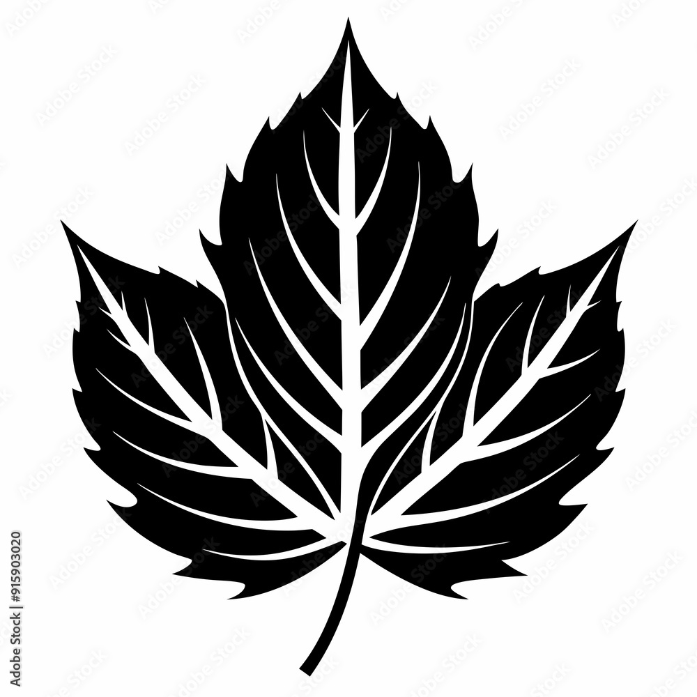 Best leave Silhouette Vector illustration Best leave Silhouette Vector illustration