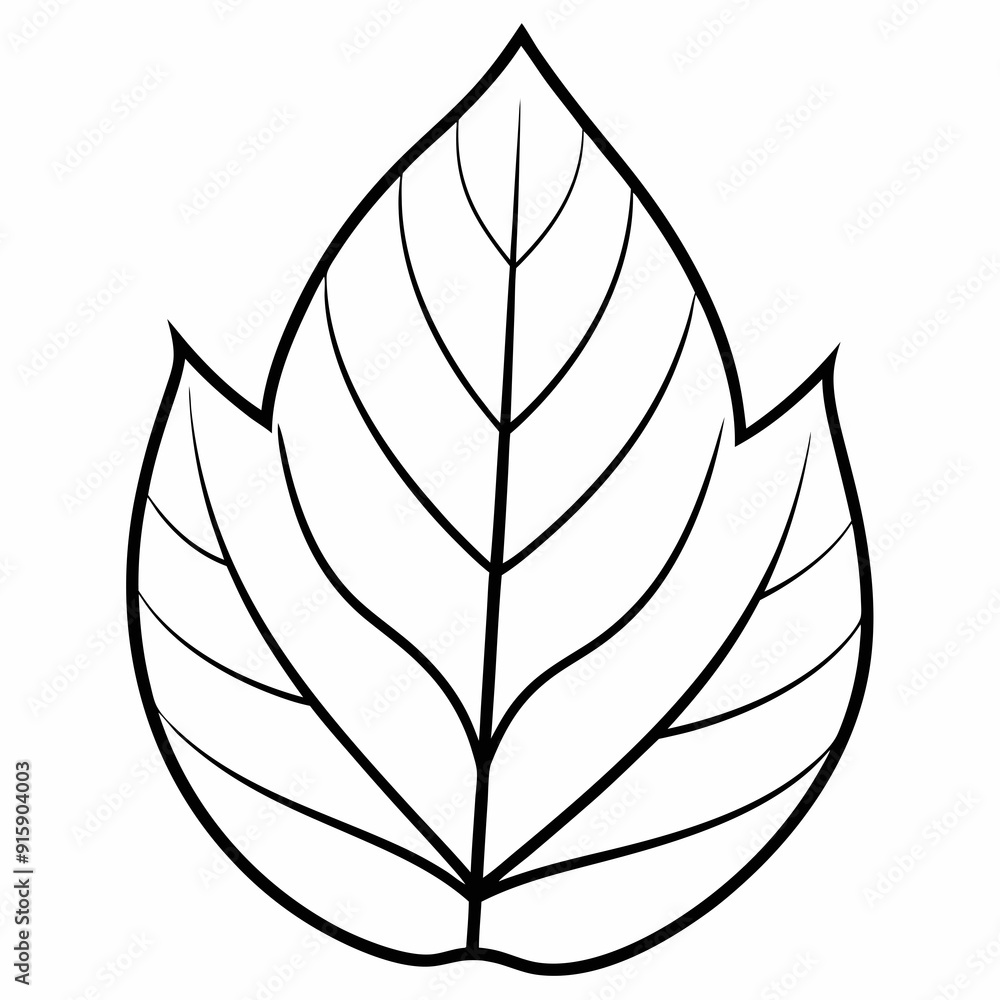 Best leave line art Silhouette Vector illustration
Best leave line art Silhouette Vector illustration