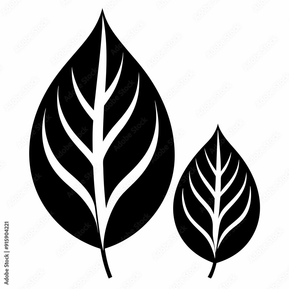 two leave Silhouette Vector illustration
two leave Silhouette Vector illustration