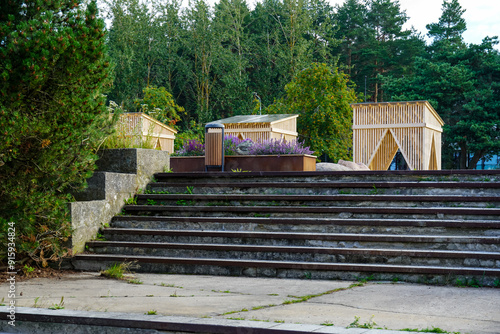 Grey stone stairway in the front. Wooden gazebo in the back. Lilac catmint plants in outdoor box. Pine trees in the left. Summer daytime. Pirita, Tallinn, Estonia, Europe. July 2024 photo