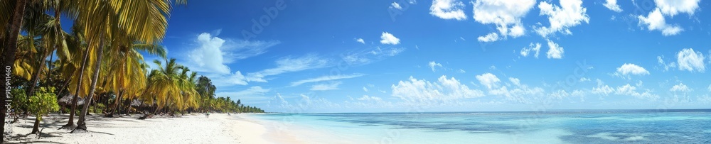 View of the white sand beach and azure water. Caribbean paradise View of the white sand beach and azure water. Caribbean paradise