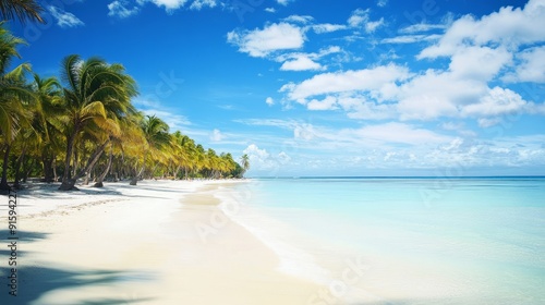 View of the white sand beach and azure water. Caribbean paradise