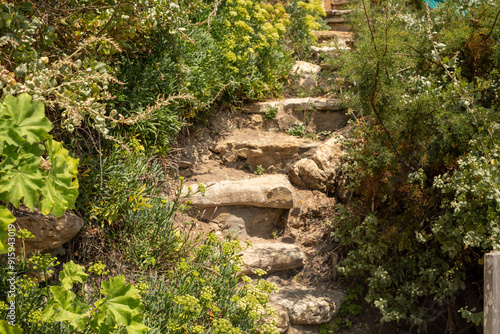 Stone steps lead up through...