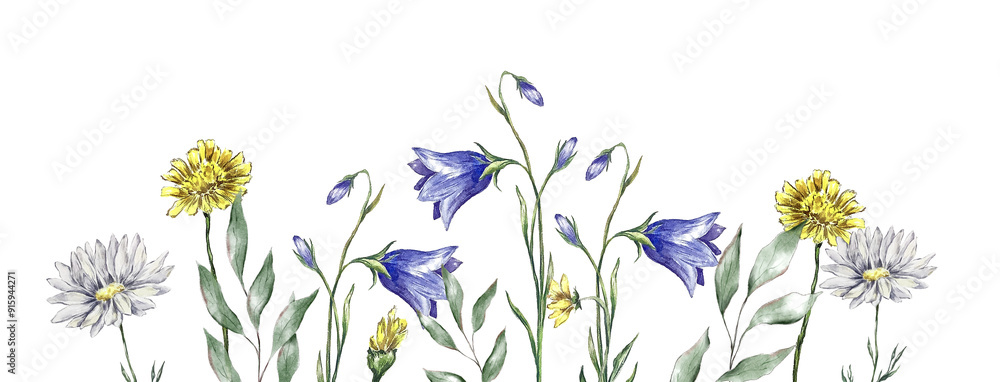 meadow herbs watercolor hand painted banner elements botanical illustration. Poppy, lavender. camomile, dandelion, bluebell. Printable natural ecological design for invitations, package, greeting card meadow herbs watercolor hand painted banner elements botanical illustration. Poppy, lavender. camomile, dandelion, bluebell. Printable natural ecological design for invitations, package, greeting card