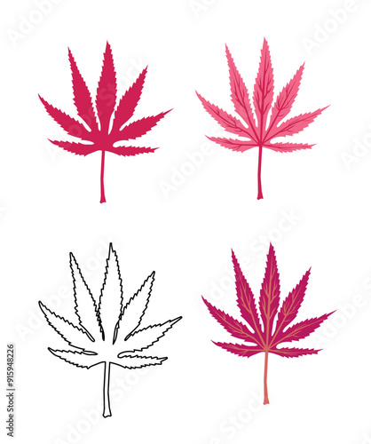 Set of different colors of Japanese maple or Acer palmatum.