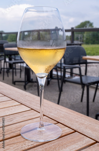 A Glass of Viognier White Wine on the Patio of a Winery Restaurant on a Summer Day photo