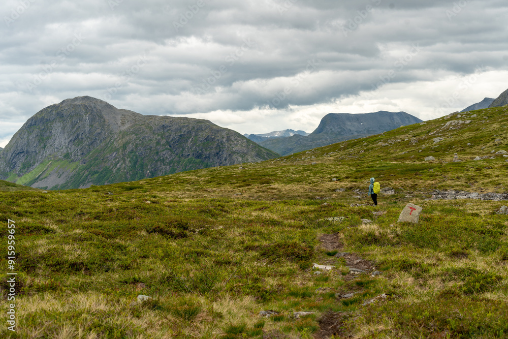 Fototapeta premium lonely blonde female hiker in the woods of isfjorden on the trail to massvassbu on a cold summer day