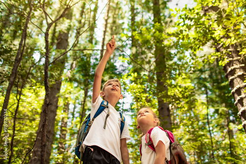 Children exploring nature forest, child discovery adventure 