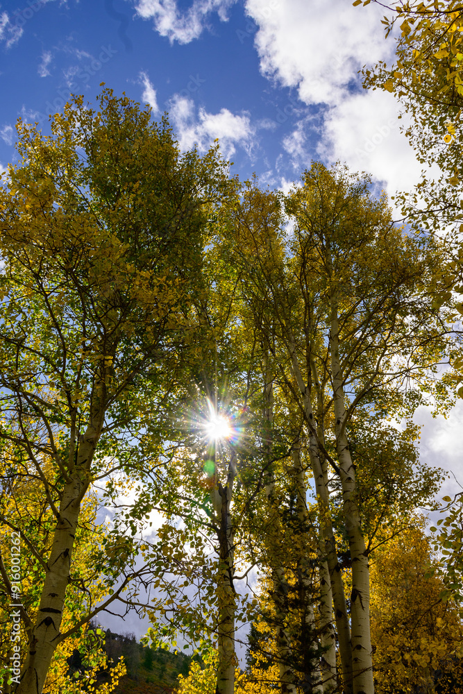 Obraz premium Fall colors in the mountains