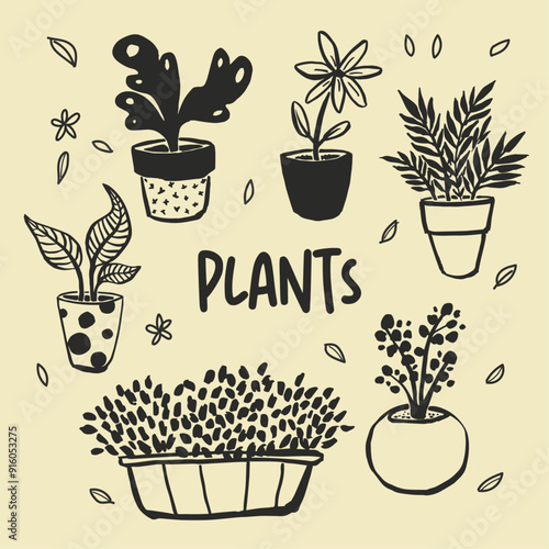 Plantas en macetas vectorial editable, plants, doodles, icon, maceta, naturaleza, home, hogar,