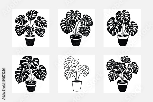 Chinese Money Pilea Peperomioides Pot Plant Icon Set Pilea Plant Flat Design 