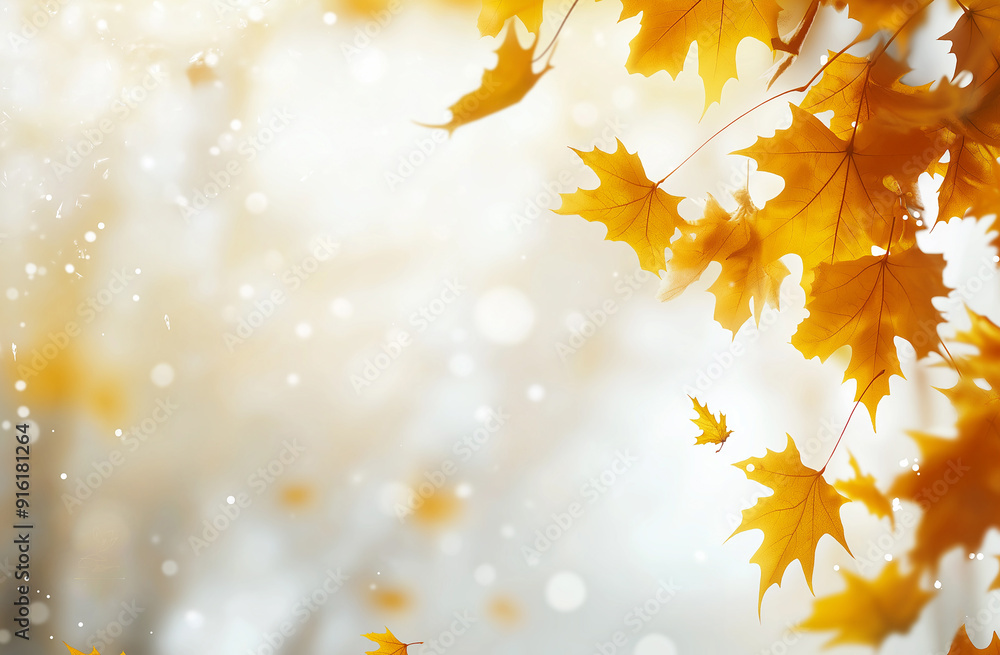 A close-up of yellow maple leaves on the right side, with a blurred white background and sunlight filtering through them. The light is soft and warm, creating an atmosphere full of autumn color A close-up of yellow maple leaves on the right side, with a blurred white background and sunlight filtering through them. The light is soft and warm, creating an atmosphere full of autumn color