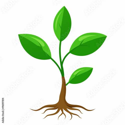 green tree isolated on white vector illustration