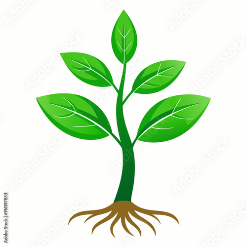 tree with leaves vector illustration