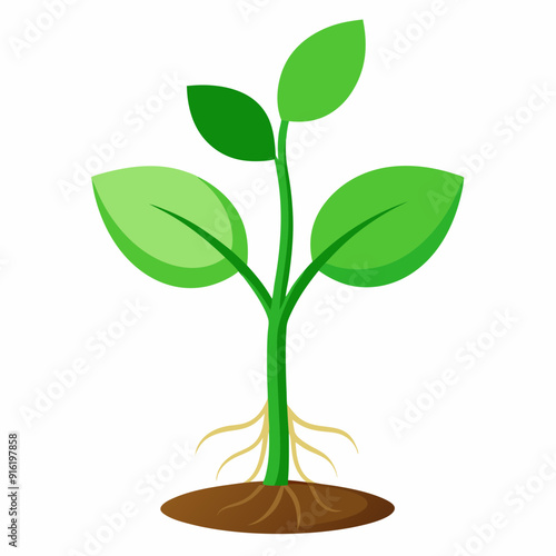 tree isolated on white background vector illustration