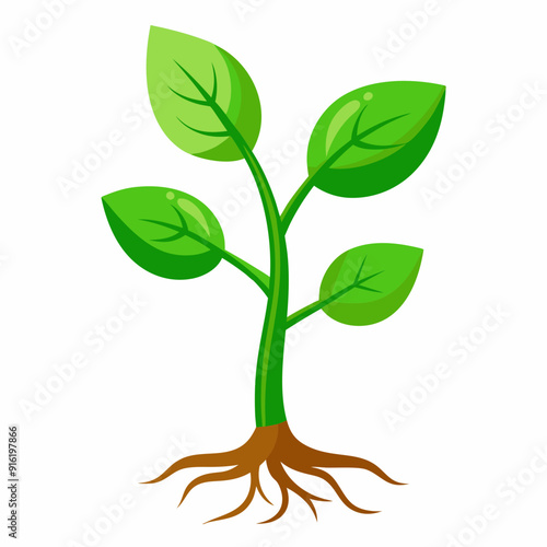 Green leafy tree with roots With trees vector illustration